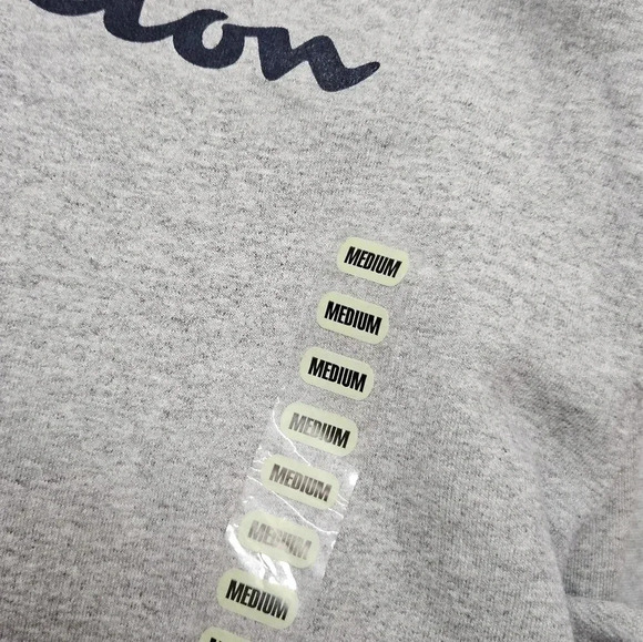 Champion‎ Powerblend Hoodie Oxford Gray Script Logo Standard Fit Men's Size M - Picture 2 of 5